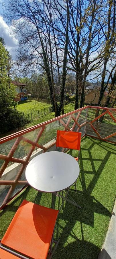 Le Petit Park-Studio-Terrasse- Piscine-Wifi Fibre Apartment Pau Exterior photo